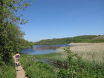 SX14169 Jenni at Bosherston Lily Ponds.jpg